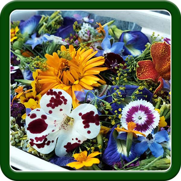 Edible Flowers