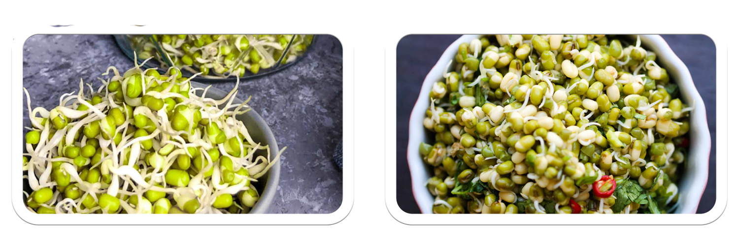Sprouted Mung Beans
